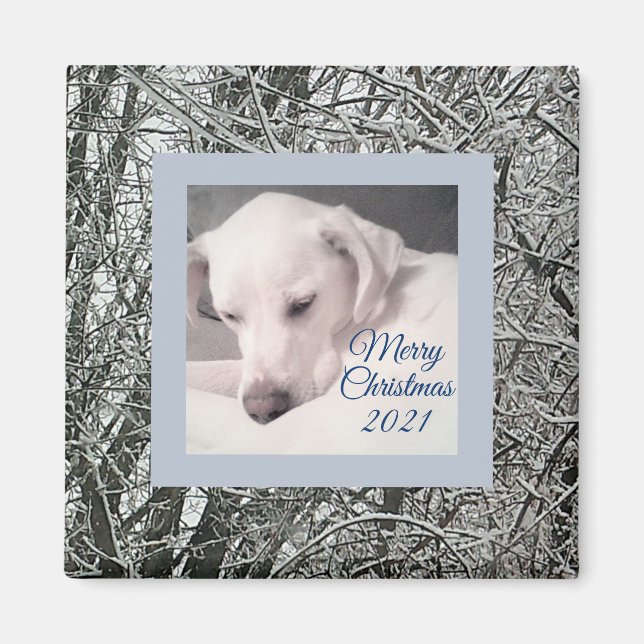 Peaceful White Puppy Dog Snowy Day Christmas Magne Magnet (Front)
