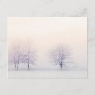 Peaceful Winter Postcard