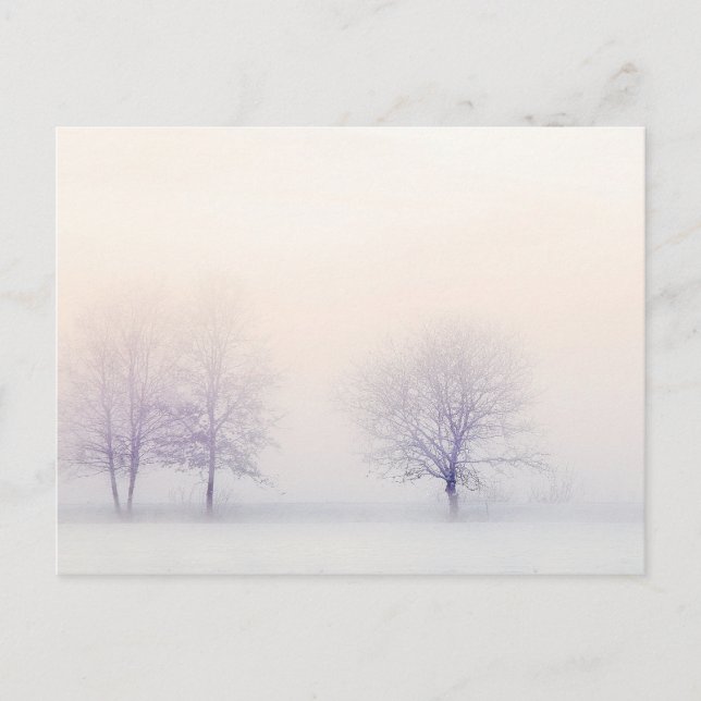 Peaceful Winter Postcard (Front)