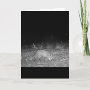 Peaceful Winter Red Fox Snowy Wintry Scene Card