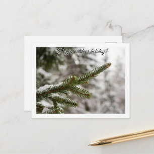 Peaceful Winter Woodland - Snowy Pine Branch Postcard