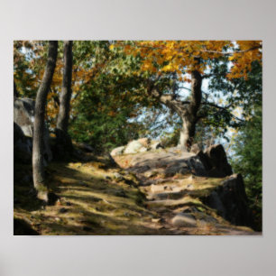 Peaceful Woodland Path Nature Orton Effect Poster