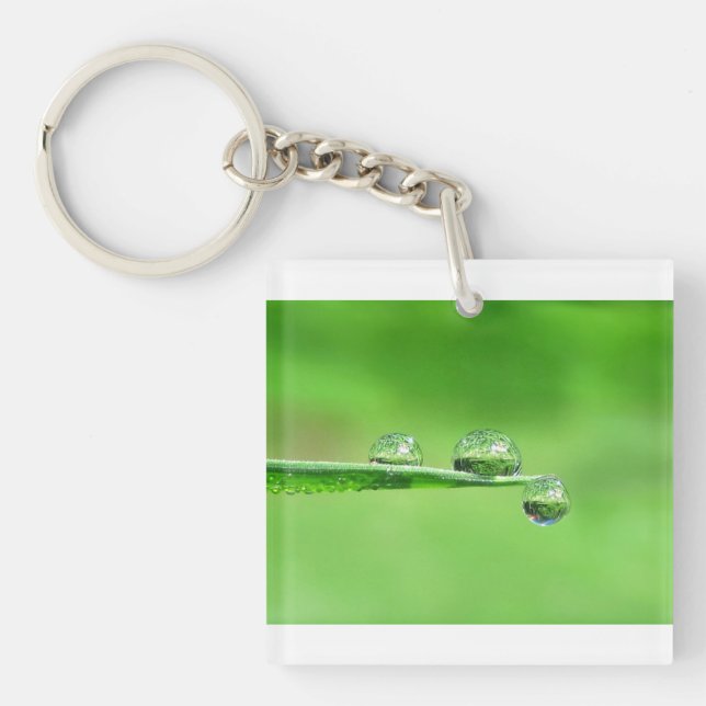 Peaceful zen green grass with dew drops nature key ring (Front)