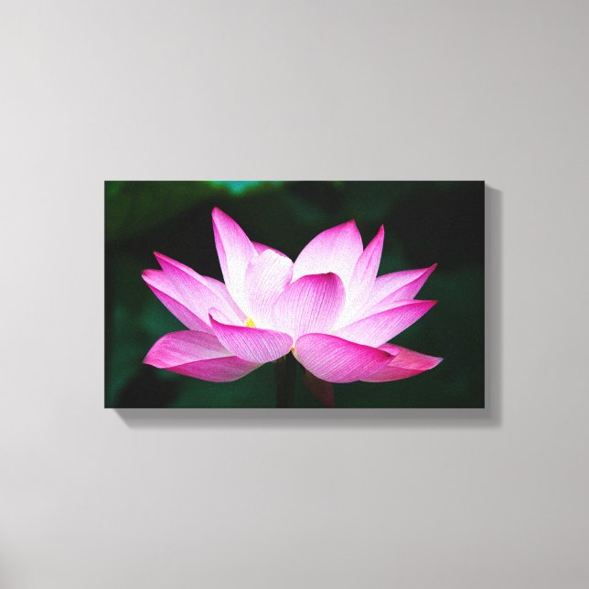 Peaceful Zen Lotus Flower Canvas Print (Front)