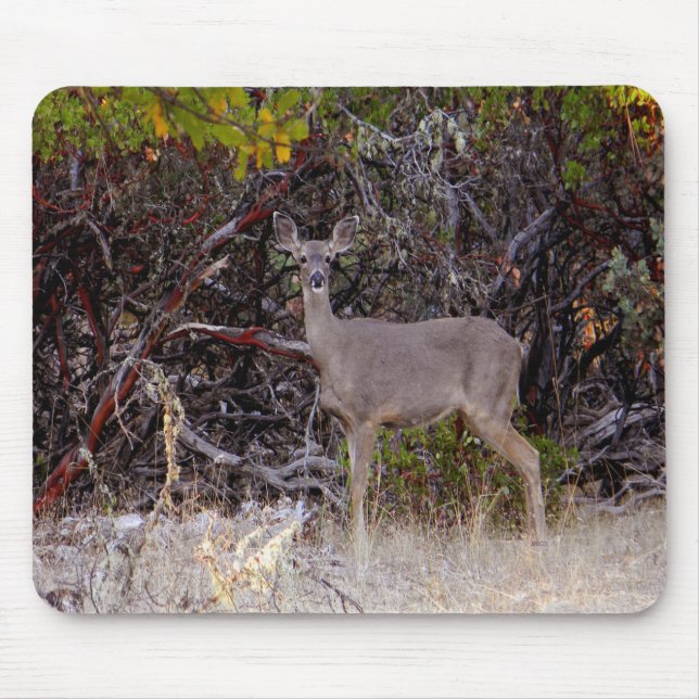 Peacefully.... Mouse Mat (Front)