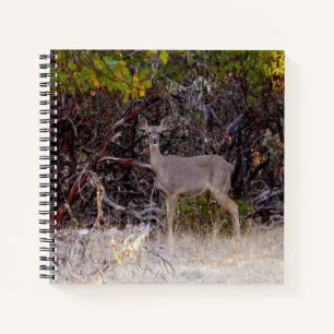 Peacefully... Notebook