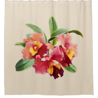 Peach and Crimson Cattleya Orchids Shower Curtain