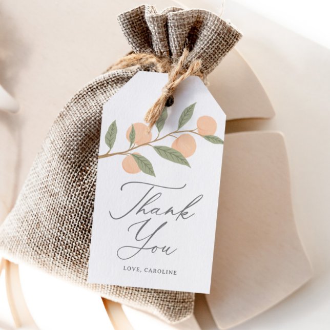 Peach Birthday Party Favour Tags (Creator Uploaded)