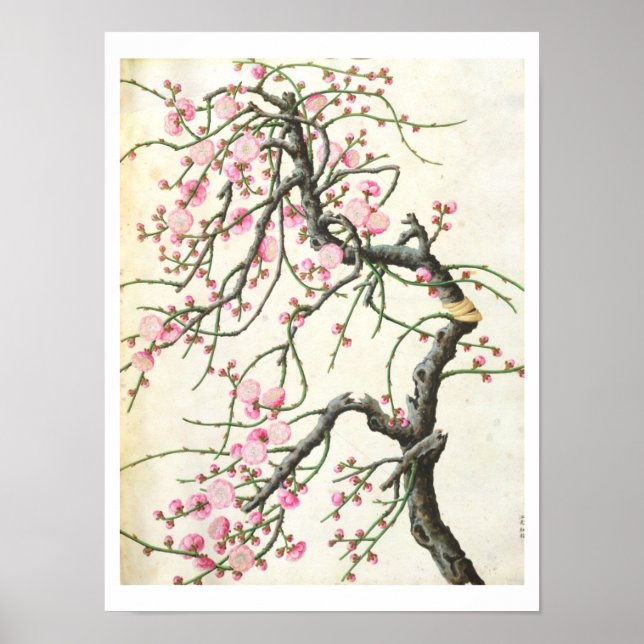 Peach blossom (colour on paper) poster (Front)