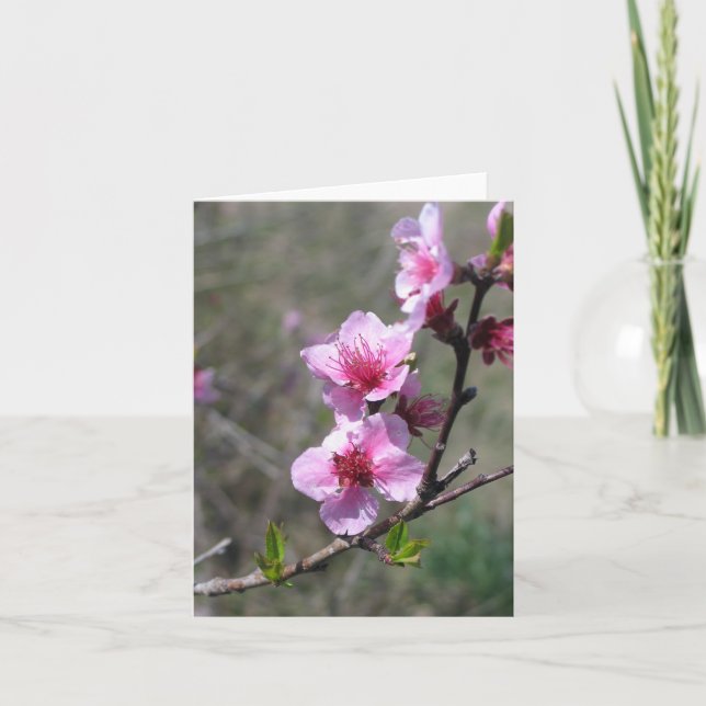 Peach Blossom - Customised Card (Front)