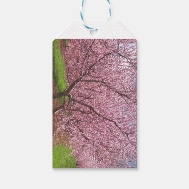Peach Blossom Gift Tags (Front)
