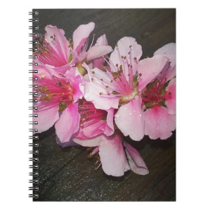 Peach Blossoms Notebook