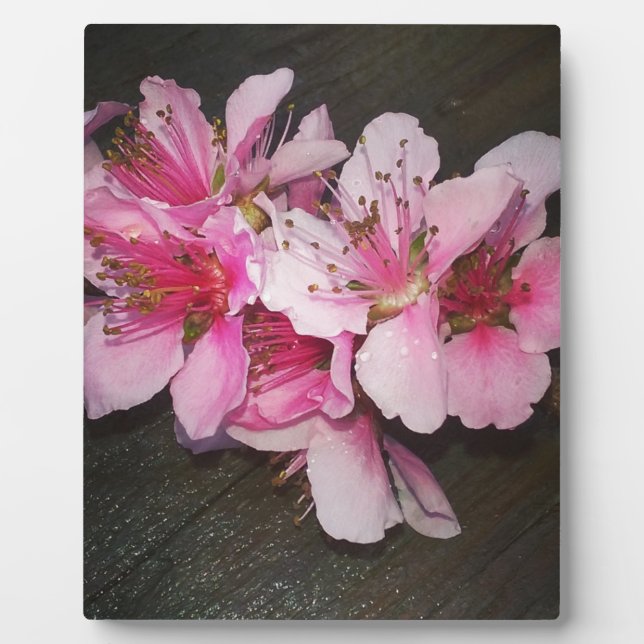 Peach Blossoms Plaque (Front)