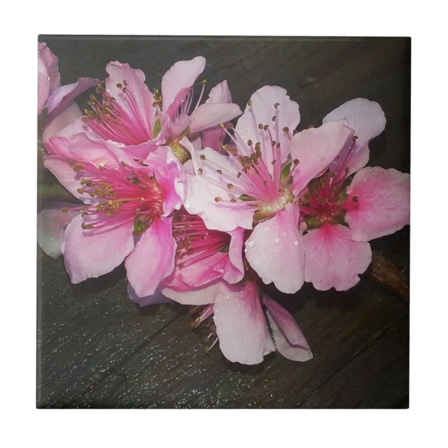 Peach Blossoms Tile (Front)