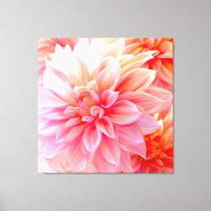 Peach Blush Dahlia Blossom Canvas Print