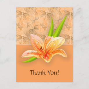 Peach Colour Lilium and Nature Art in Peach Patter Postcard