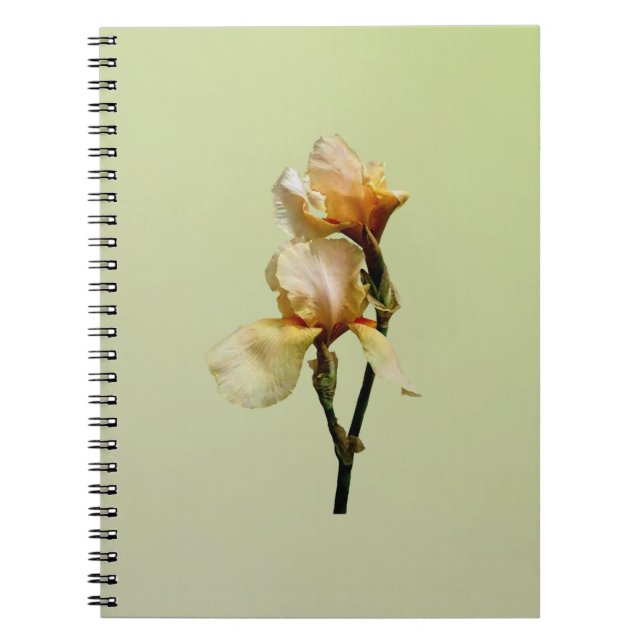 Peach Coloured Irises Notebook (Front)