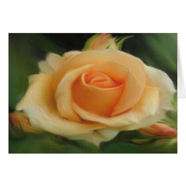 Peach Coloured Rose On Canvas Cards (Front Horizontal)