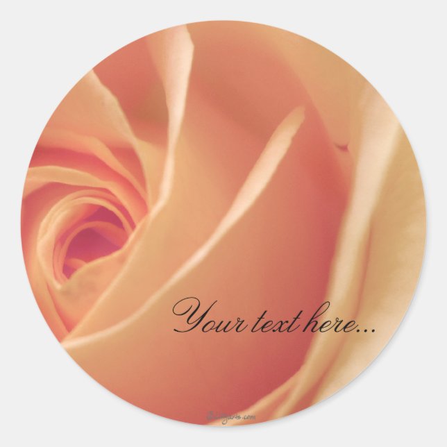 Peach Cream Rose Wedding Invitations Seals (Front)