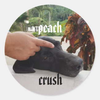 peach crush gentle touch dog sticker