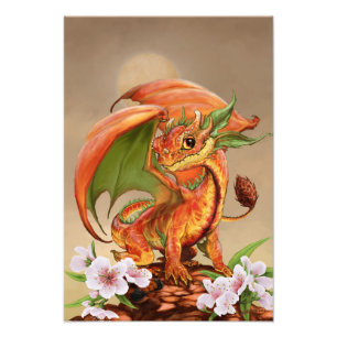 Peach Dragon 13x19 Print