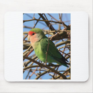 peach faced lovebird mouse mat