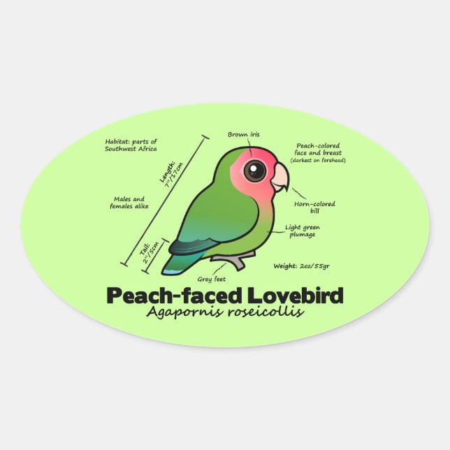 Peach-faced Lovebird Statistics Oval Sticker (Front)