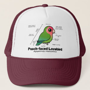 Peach-faced Lovebird Statistics Trucker Hat