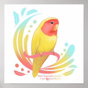 Peach Faced Lutino Lovebird Poster