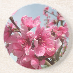 peach Flower Coaster