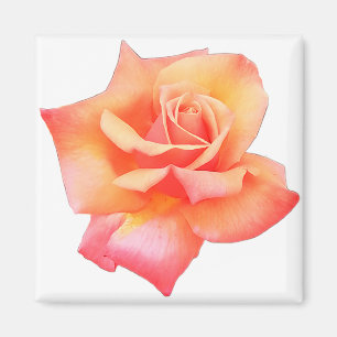 Peach flower magnet