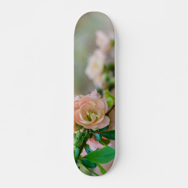 Peach Flowering Quince Skateboard (Front)