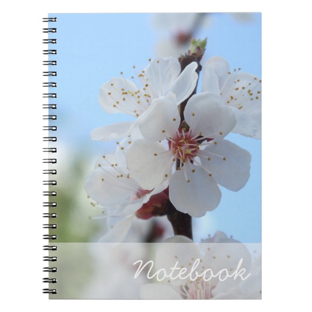 Peach Flowers Notebook (Front)