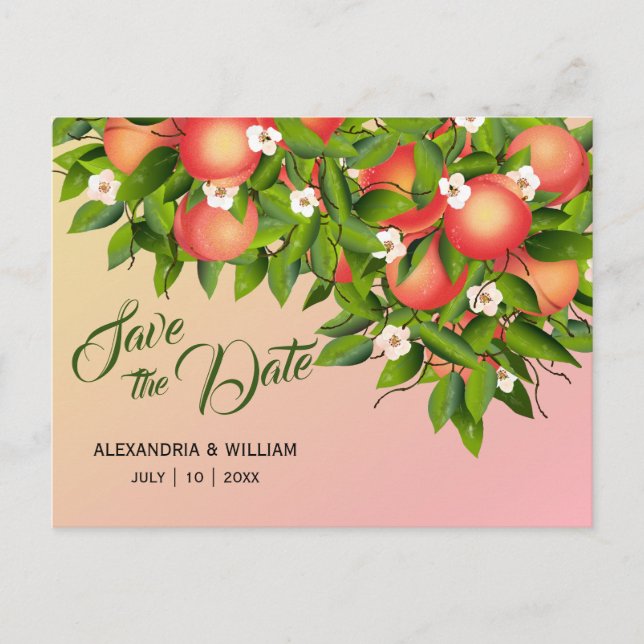 Peach Fruit Botanical | Wedding Save The Date Postcard (Front)