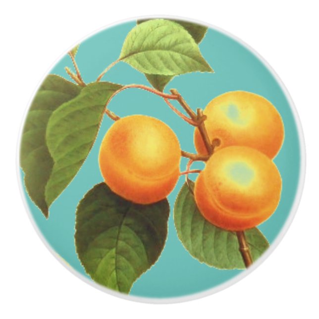 Peach fruit ceramic knob (Front)