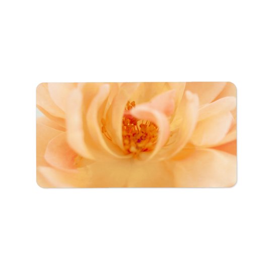 Peach Garden Rose Flower - Romantic Roses Template Address Label