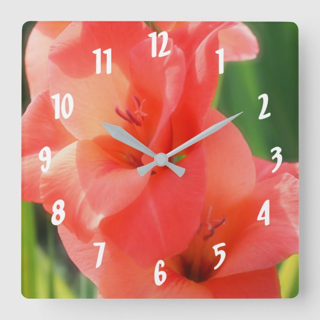 Peach Gladiolas Flower Up Close Square Wall Clock (Front)