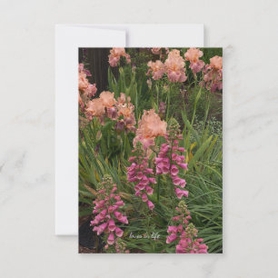 Peach Iris, Pink Foxglove Card