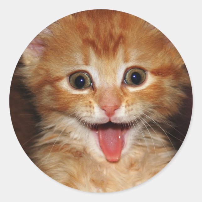 peach kitty classic round sticker (Front)