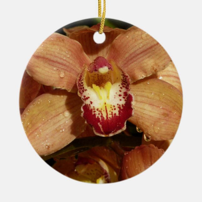 Peach Orchids with Raindrops Floral Ceramic Tree Decoration (Front)