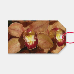 Peach Orchids with Raindrops Floral Gift Tags
