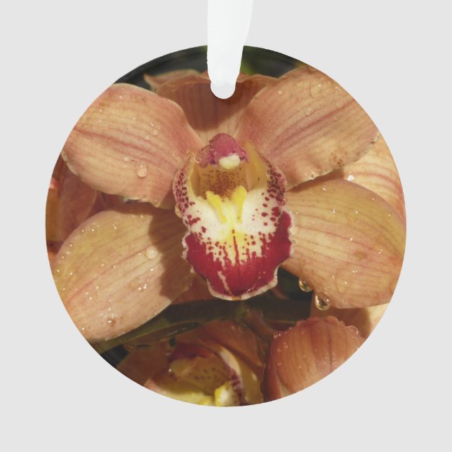 Peach Orchids with Raindrops Floral Ornament (Front)