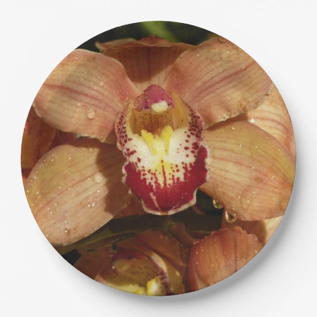 Peach Orchids with Raindrops Floral Paper Plate (Front)