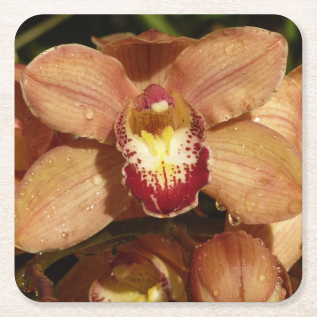 Peach Orchids with Raindrops Floral Square Paper Coaster (Front)