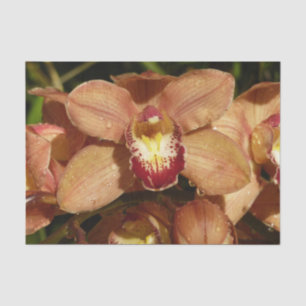 Peach Orchids with Raindrops Floral Tissue Paper