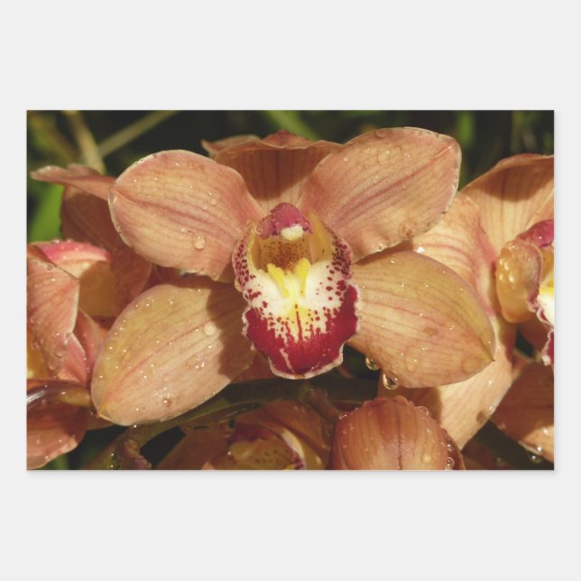 Peach Orchids with Raindrops Floral Wrapping Paper Sheet (Front)