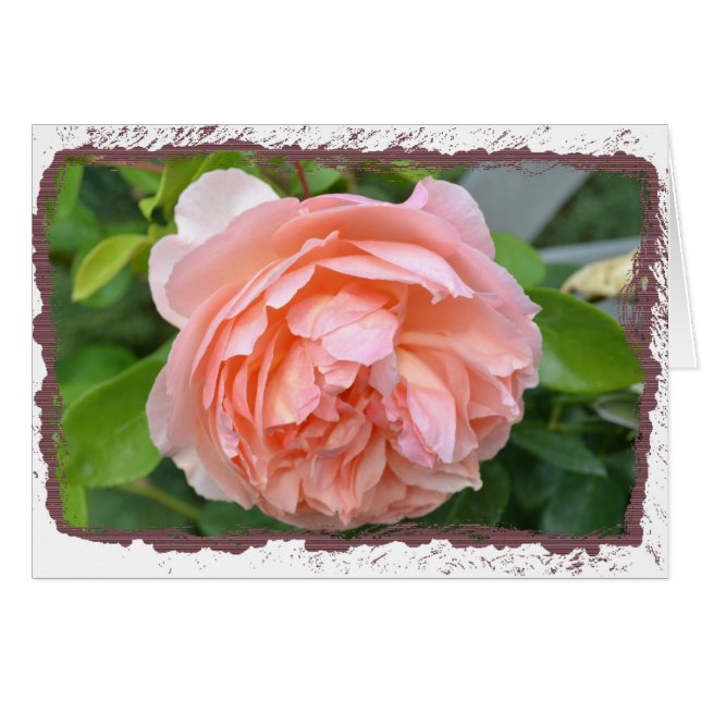 Peach Peony Card (Front Horizontal)