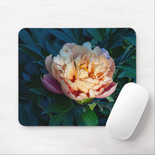 Peach Peony, Soft Bloom Flower Photo Mouse Mat