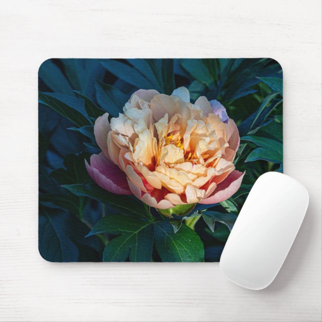 Peach Peony, Soft Bloom Flower Photo Mouse Mat (With Mouse)