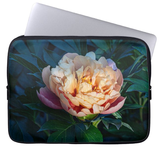 Peach Peony, Soft Pastel Flower Photo Laptop Sleeve (Front)